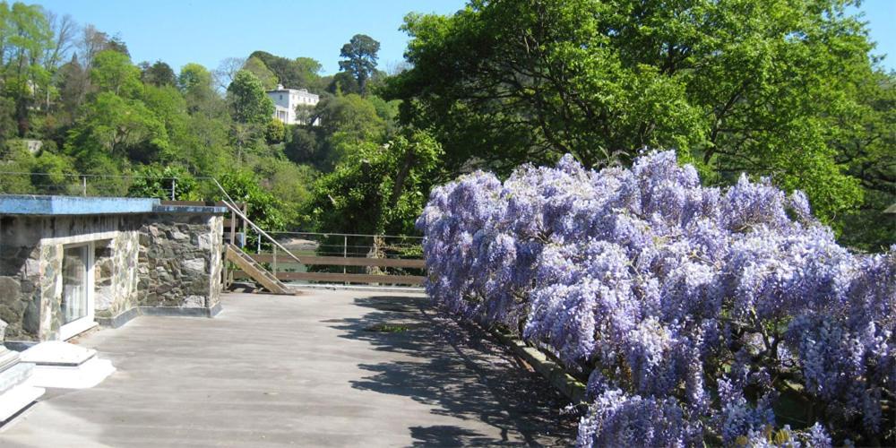 Vipers Quay Villa Dartmouth Kültér fotó