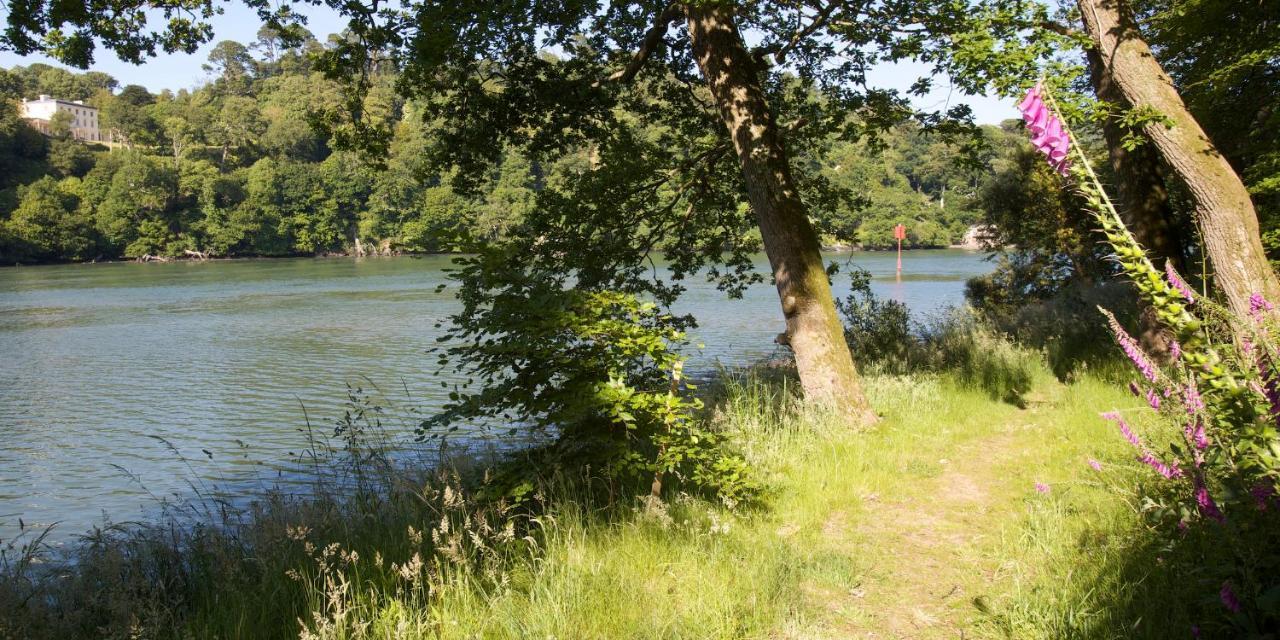 Vipers Quay Villa Dartmouth Kültér fotó